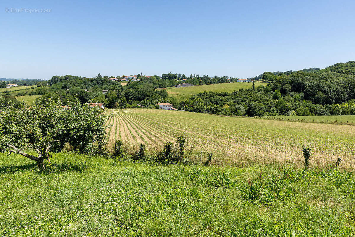 Photo 2 - Maison à SAINT-PALAIS