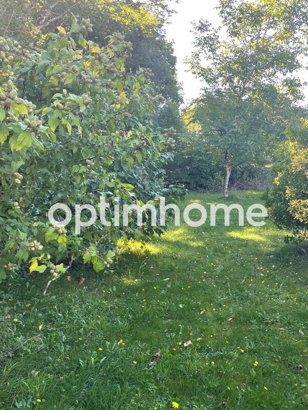 Maison à MORET-SUR-LOING