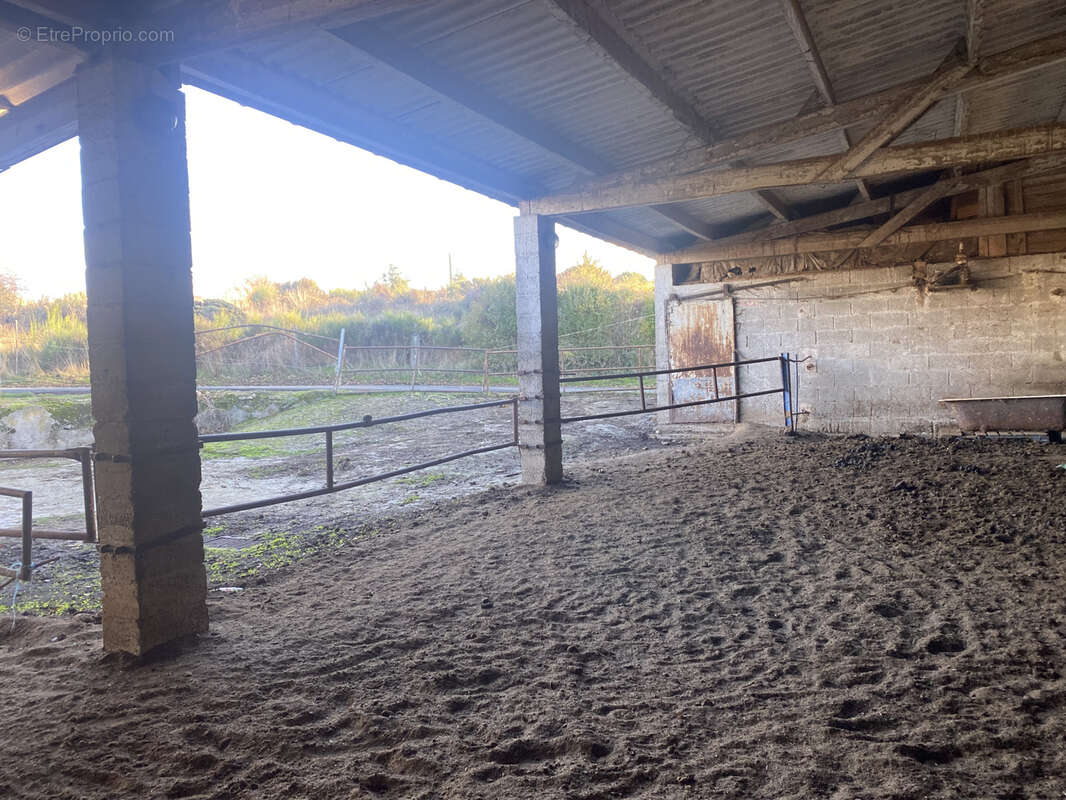 Terrain à SAINT-JUST-SAINT-RAMBERT