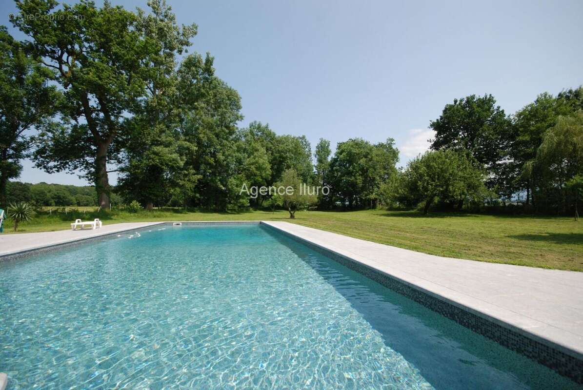 Pool - Maison à OLORON-SAINTE-MARIE
