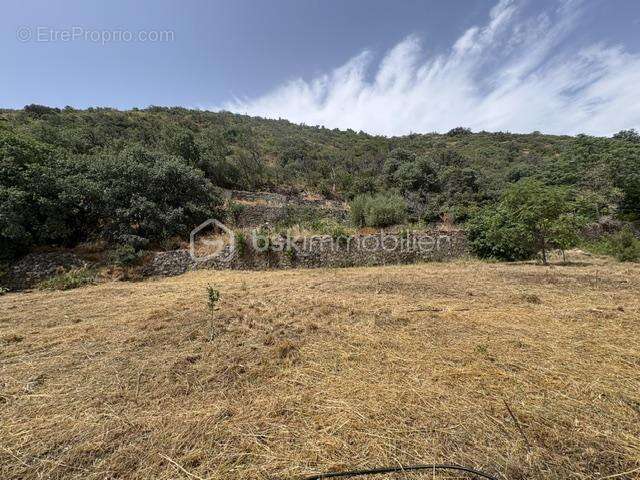 Terrain 4495 m2 Ria sirach - photo 7