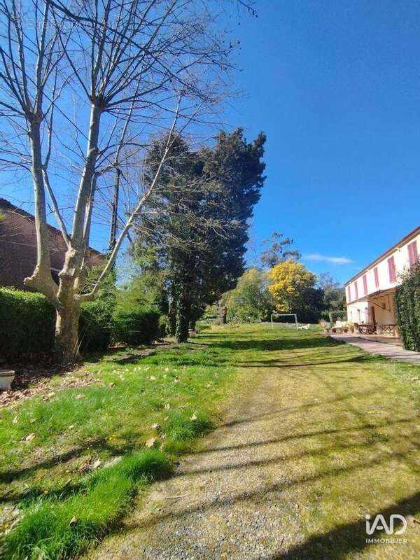 Photo 5 - Commerce à BORMES-LES-MIMOSAS