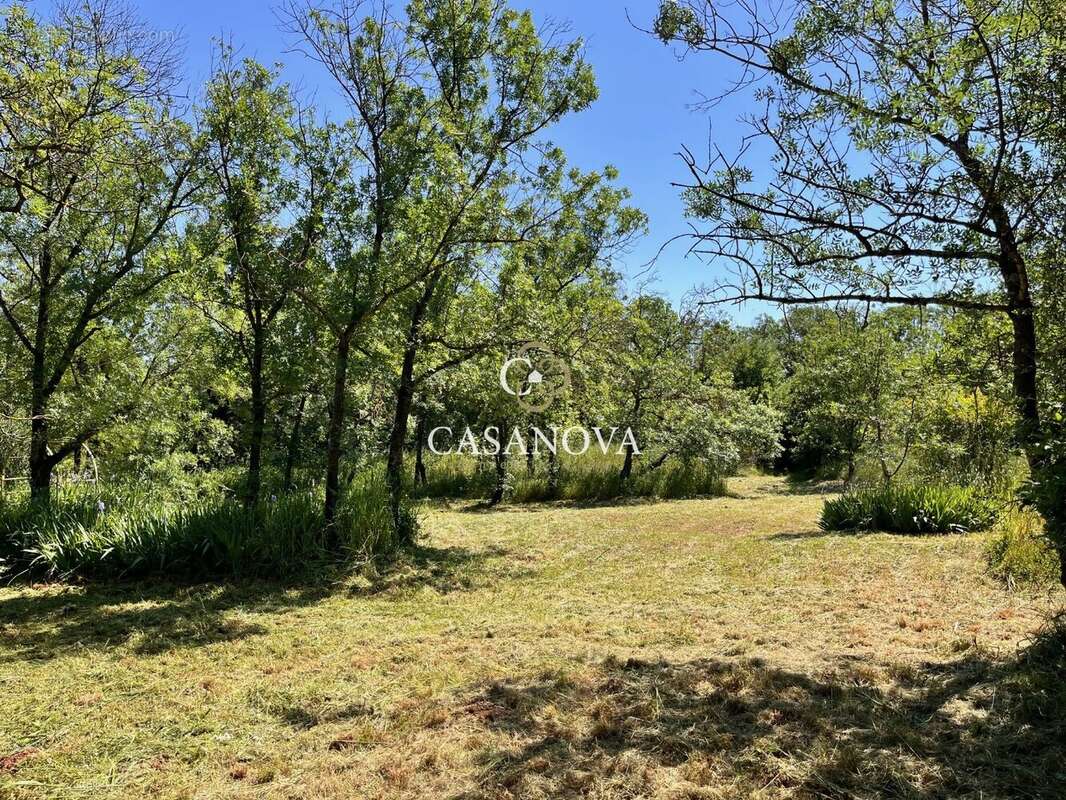 Proche LAC DU SALAGOU, propriété sur 6200 m² de parc avec VUE PANORAMIQUE - photo 6