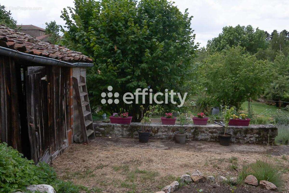 Maison 181 m² à Bussieres  - photo 13