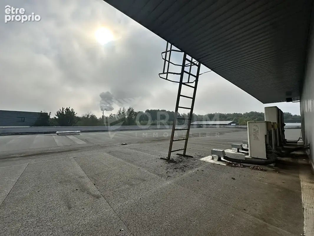 Local commercial Cosne Cours Sur Loire - photo 18