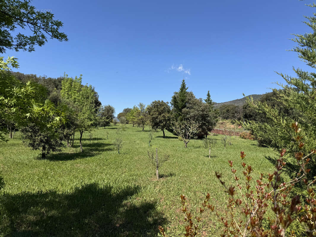 Terrain à SAINT-JEAN-DE-LA-BLAQUIERE
