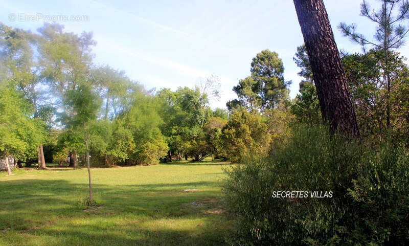 Maison à CAMBLANES-ET-MEYNAC