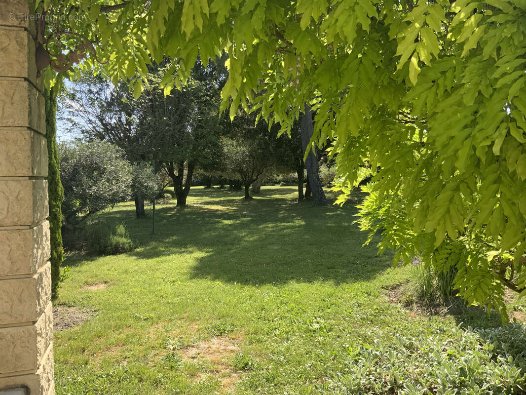 Charmante maison avec terrain arboré et piscine  à Uzès. - photo 15