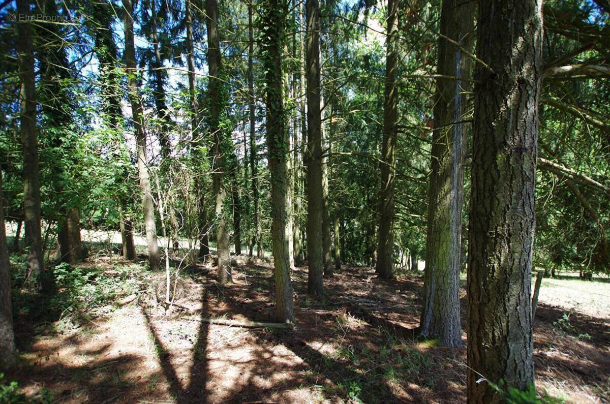 Terrain à SAINT-GERMAIN-DES-PRES