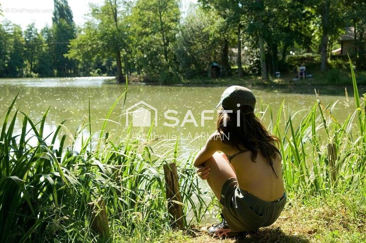 Photo 7 - Commerce à ESTANG