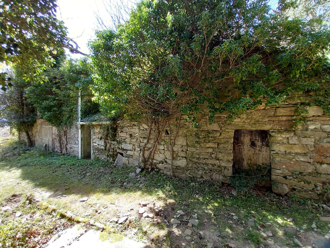 Unique ! ancienne Ferme à rénover sur 15Ha de patures et bois . - photo 3