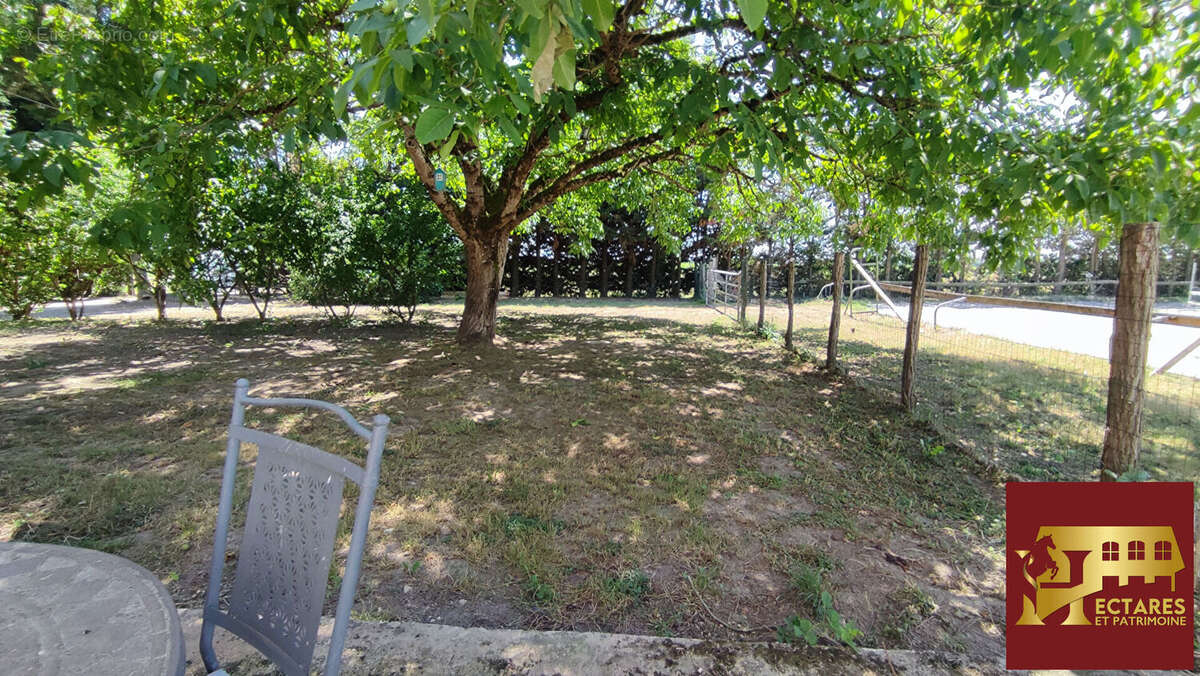Propriété équestre 2,3 hectares - photo 9