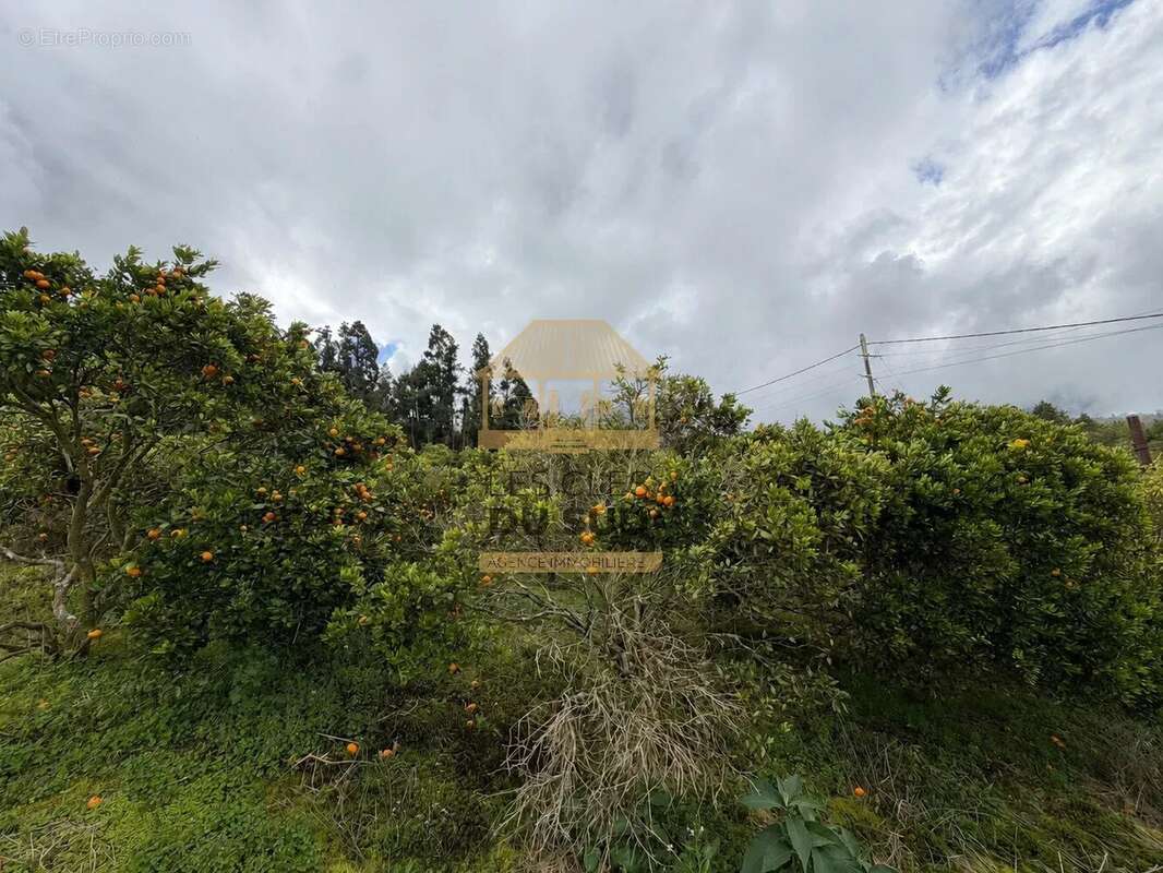 A vendre - terrain constructible de 438 m² environ - saint joseph - 70 000€ - photo 2