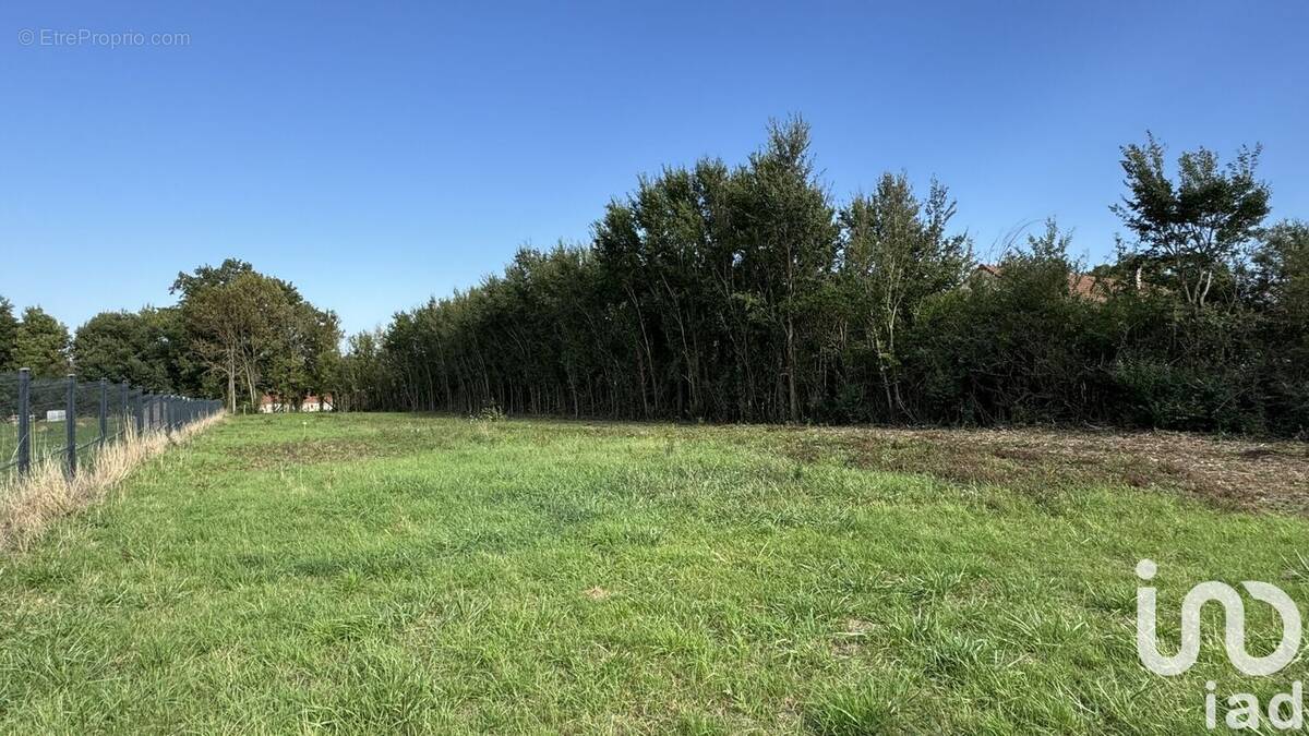 Photo 1 - Terrain à ESCAMPS