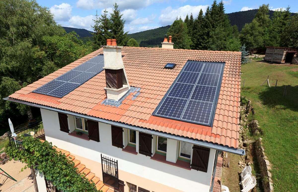 Maison Vollore Montagne 11 pièces +/-180 m2 avec 5400m2 environ de jardin - photo 17