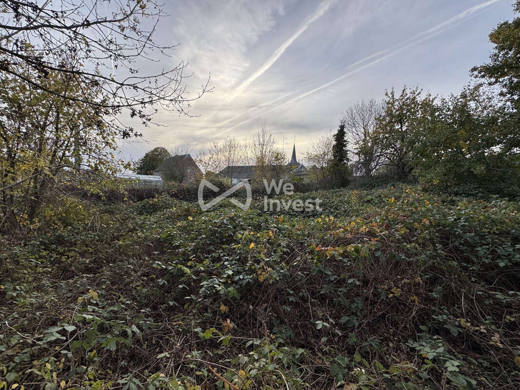Terrain à VILLERS-SIRE-NICOLE
