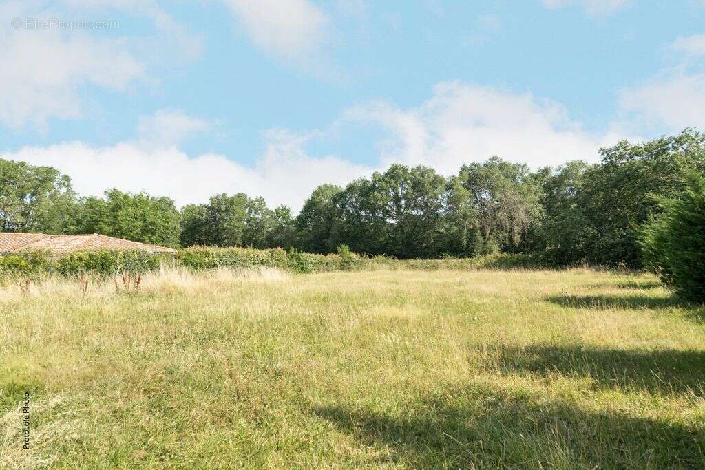 Maison T4 de 160m² à Bouloc – Pièce de vie 76m², terrain 2800m² au calme - photo 3