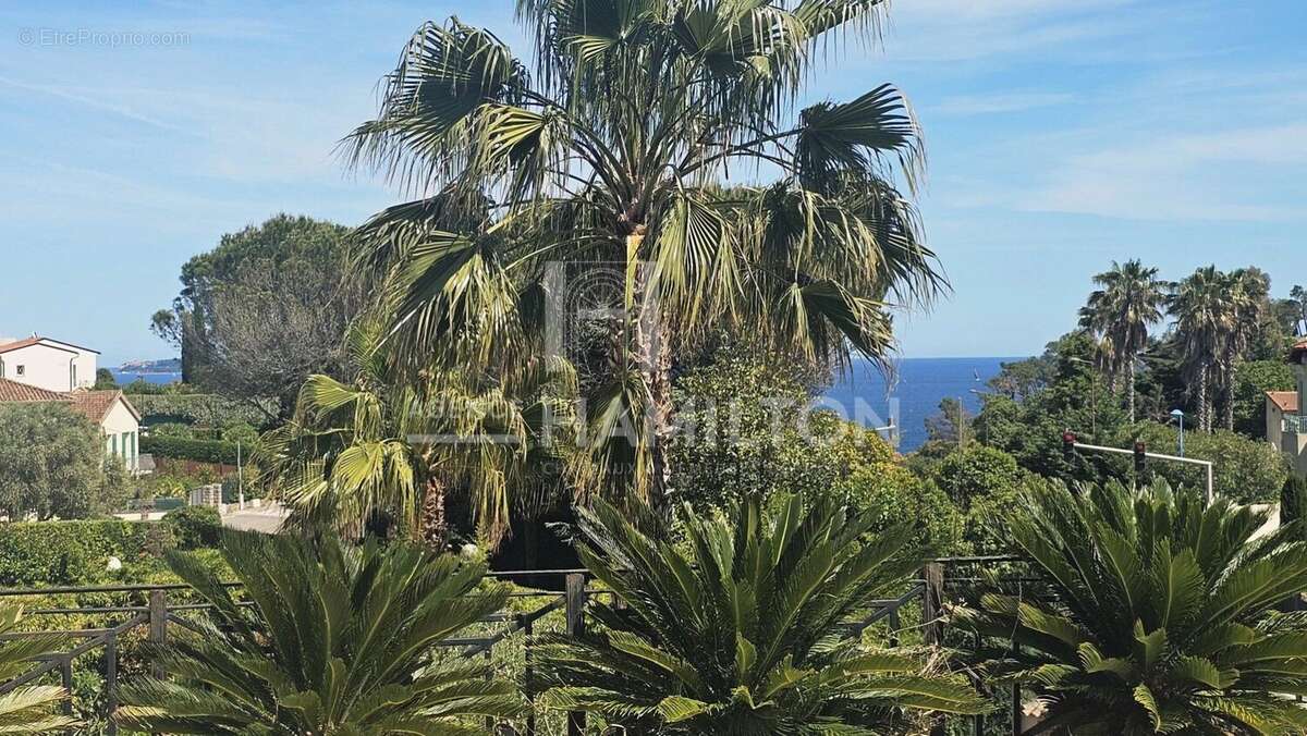 Dernier étage avec toit-terrasse : vue spectaculaire sur l'Estér - photo 14