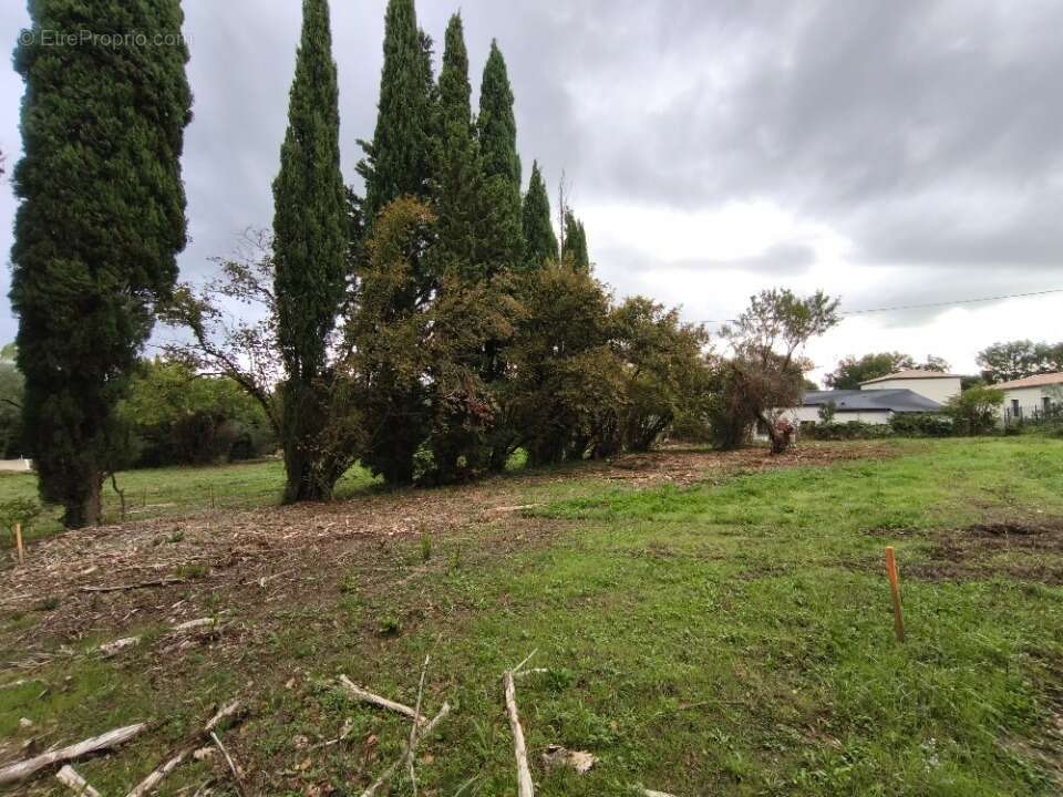 Terrain à MALATAVERNE