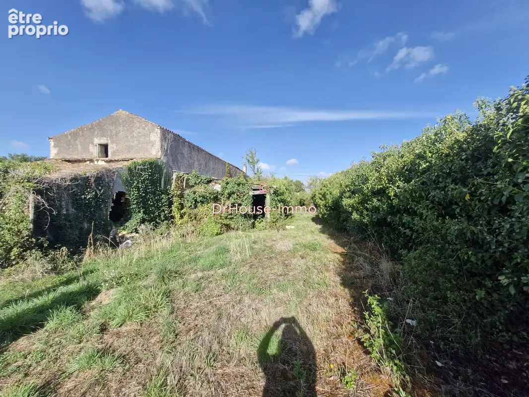 Terrain 2 804 m² à vendre à Niort (79000) - photo 3