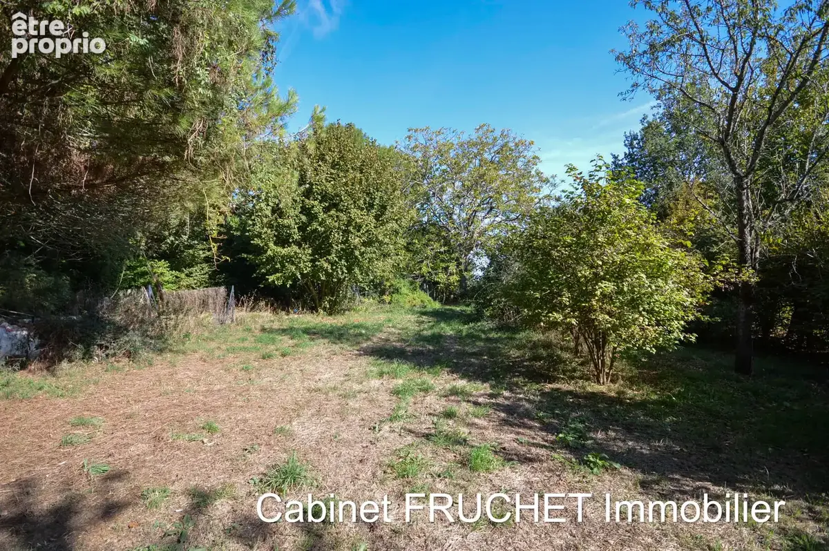 10 km de CHANTONNAY - Grande maison 4 chambres (ou 2 logements communiquants, maison + gîte) - photo 2