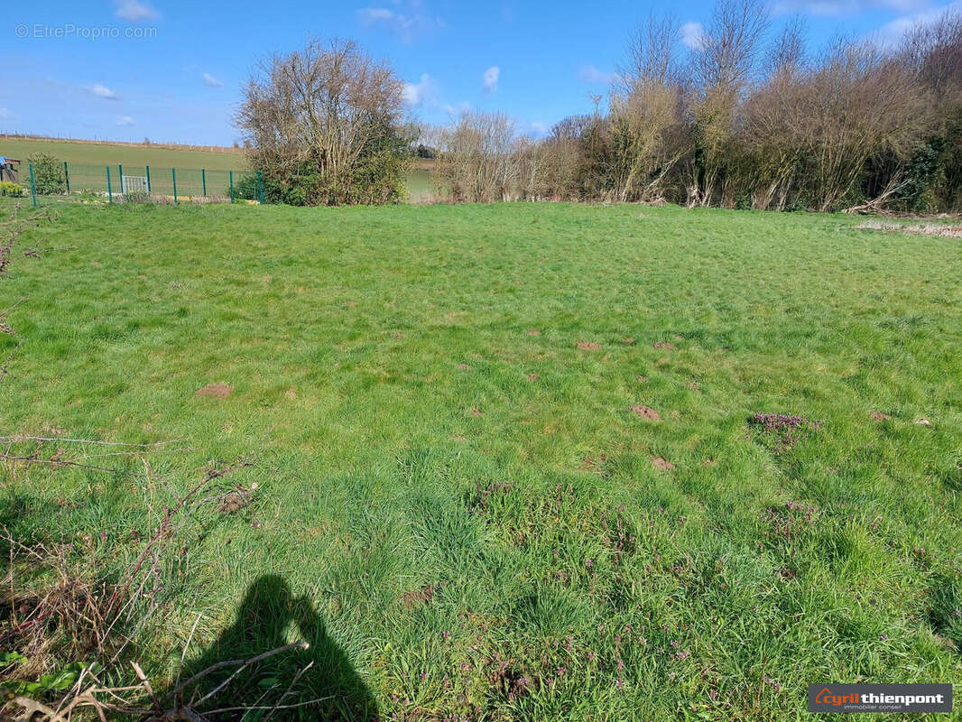 Terrain à CONTEVILLE