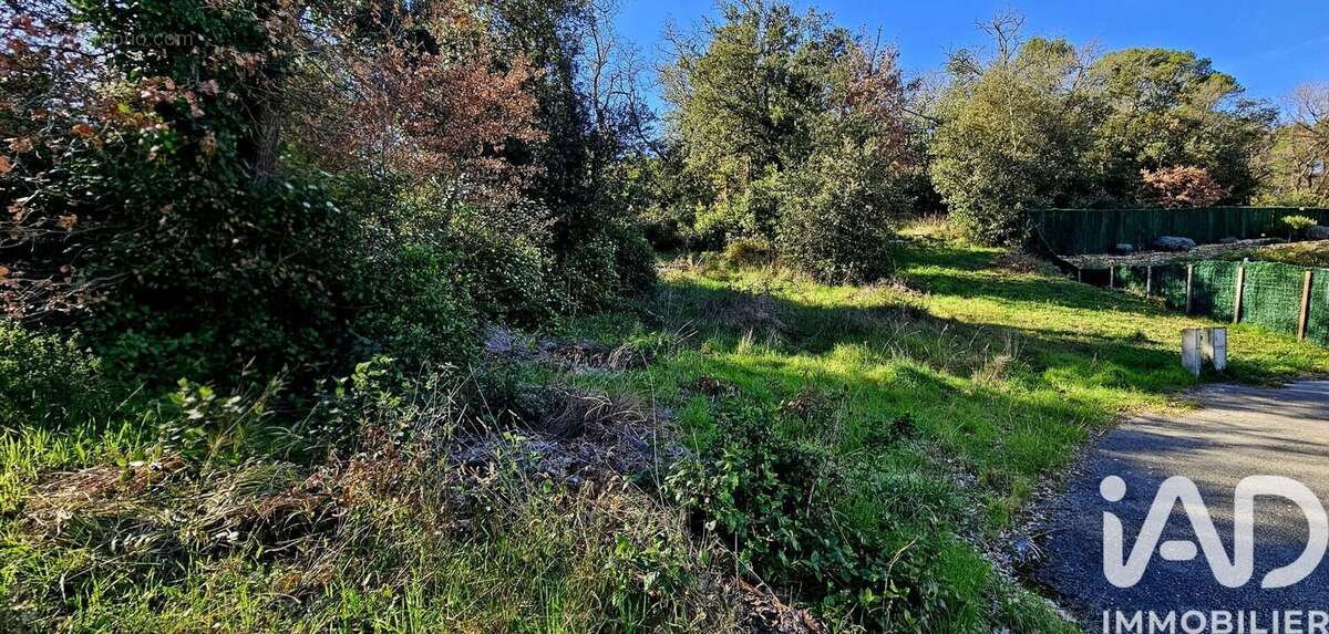 Terrain 1429 m² à Sabran  - photo 4