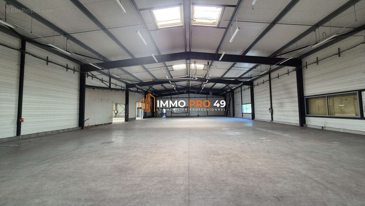 Commerce 3330 m² à Cholet  - photo 8