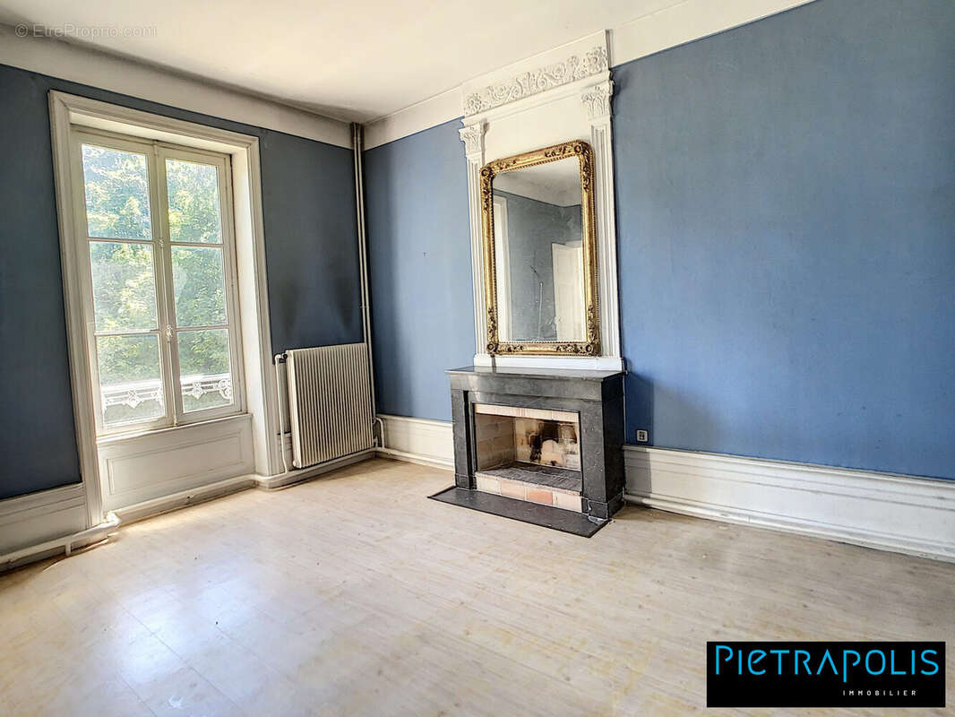 Appartement à SAINT-GEORGES-DE-RENEINS