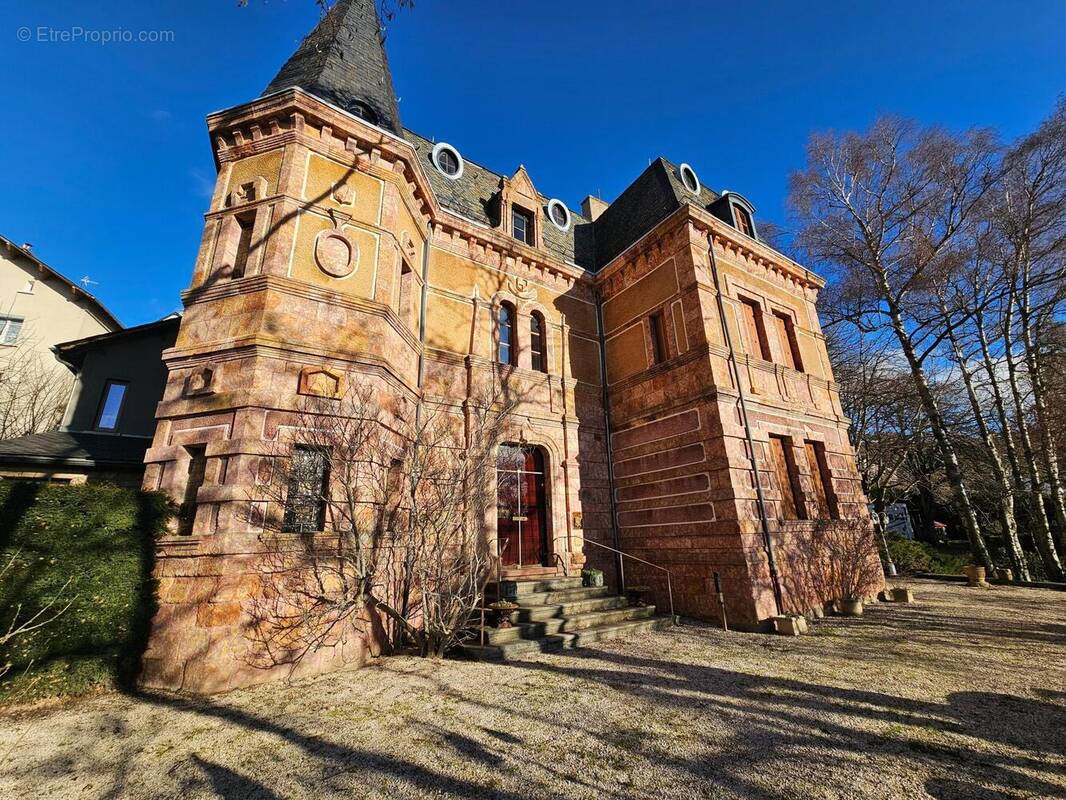 Photo 1 - Commerce à SAINT-ALBAN-SUR-LIMAGNOLE