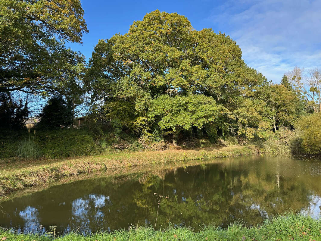 Parking à SAINT-LORMEL