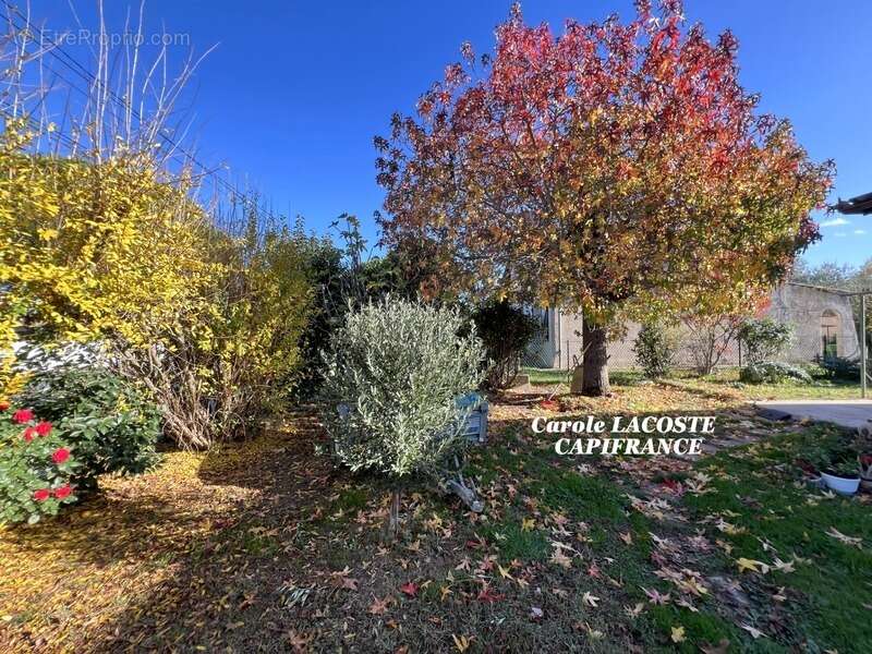 Maison à VILLENEUVE-TOLOSANE