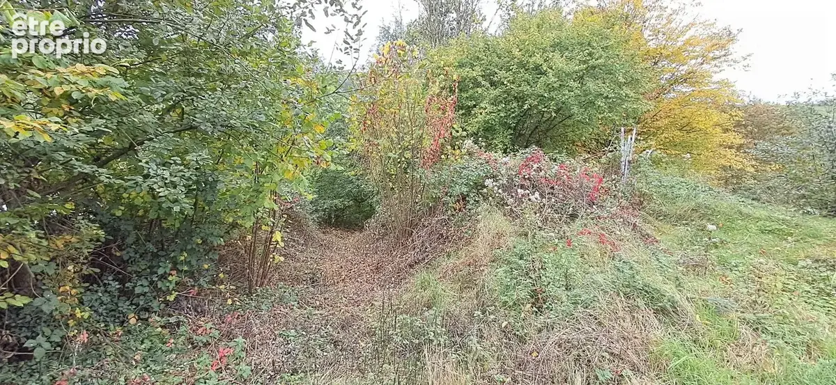 Terrain 1515 m² à Bazeilles  - photo 2