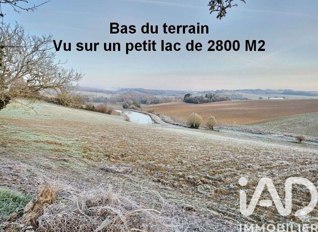 Photo 8 - Terrain à MONTGAILLARD