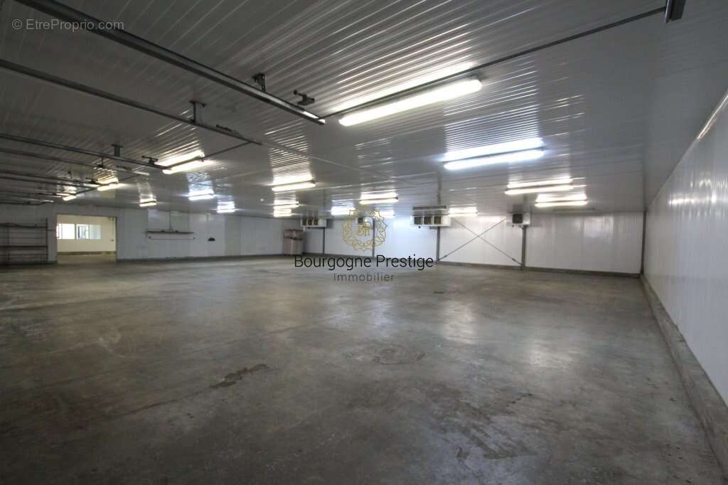 Batiment industriel 922 m² dont bureaux 332 m². stockage chambres froides 590 m² sur un terrain de 10 153 m² - photo 5
