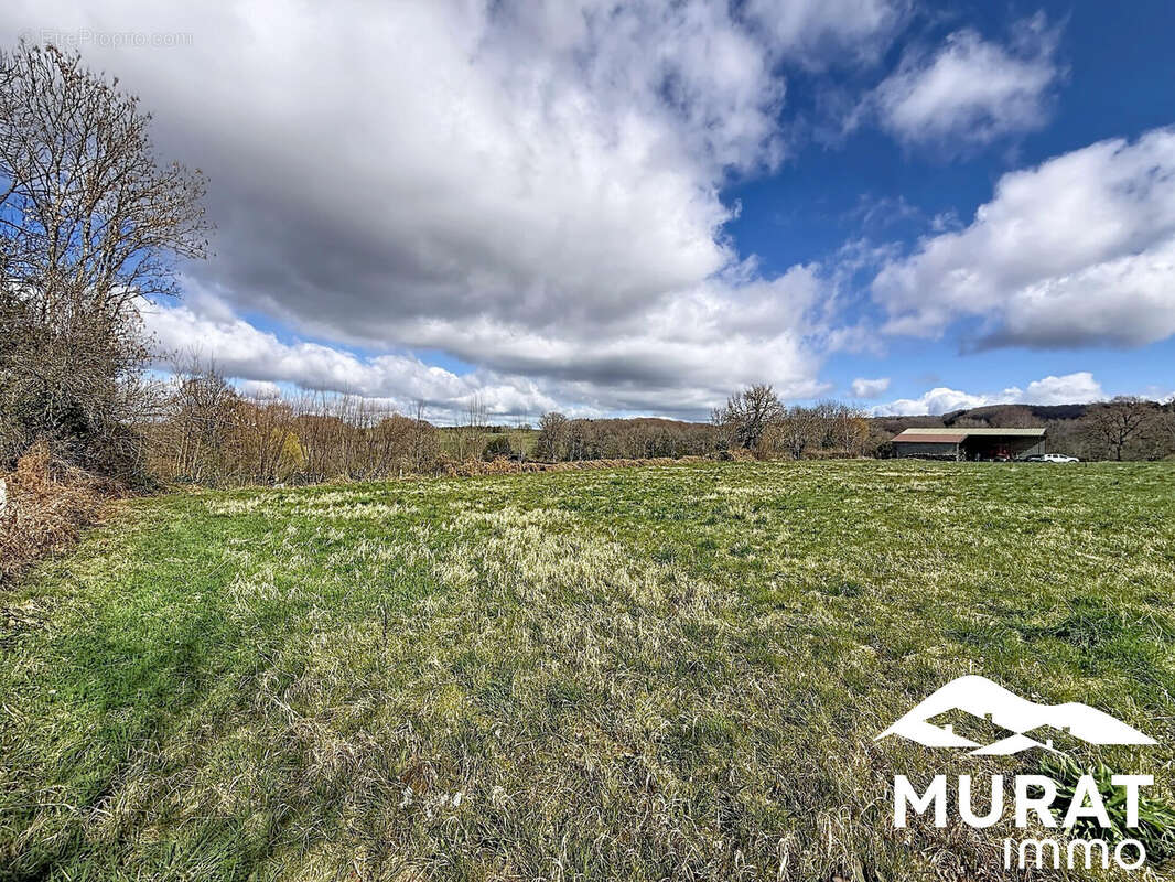 Terrain à CHAPDES-BEAUFORT