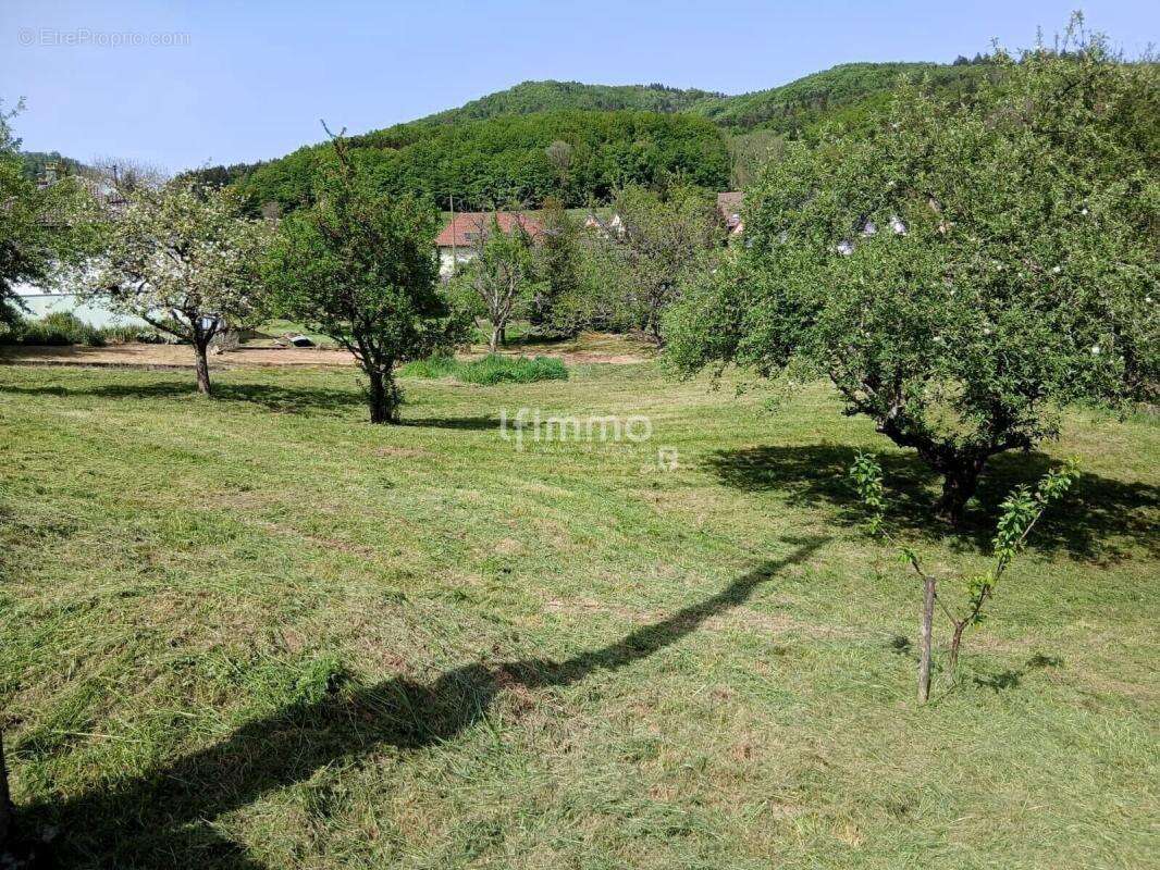 Terrain à bâtir 10ares plein sud à Sickert (68290) - photo 5