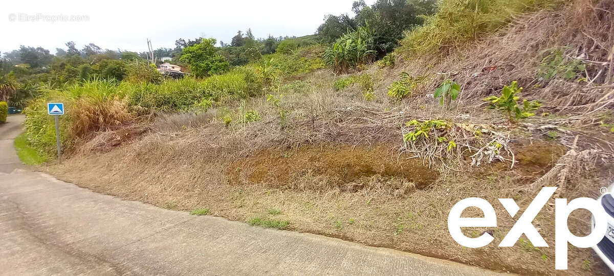 Terrain à SAINT-LEU