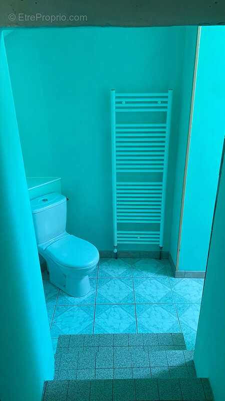 À vendre local commercial avec logement et dépendances à l'isle sur serein (89) - photo 4
