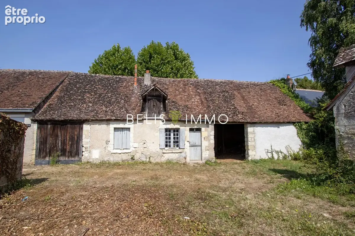 Maison 8 pièces 272 m² à vendre à Saint-Martin-Le-Beau (37270) - photo 2