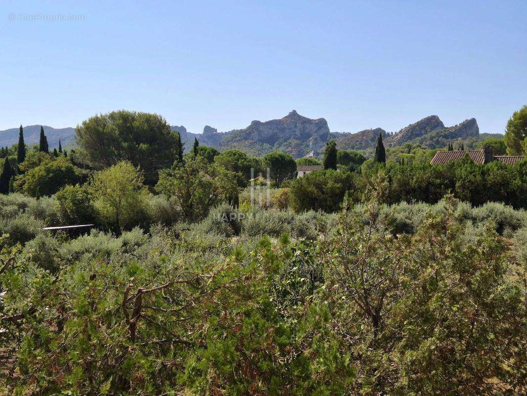 Maison St Rémy vue Alpilles - photo 3