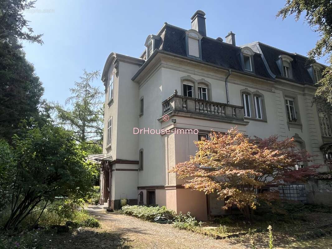 Maison 244 m² à Mulhouse  - photo 15