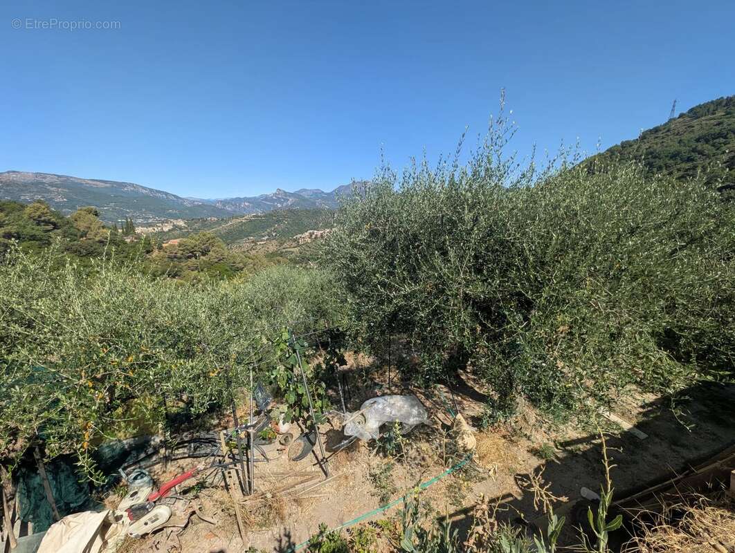 Saint blaise : terrain constructible ! - photo 5