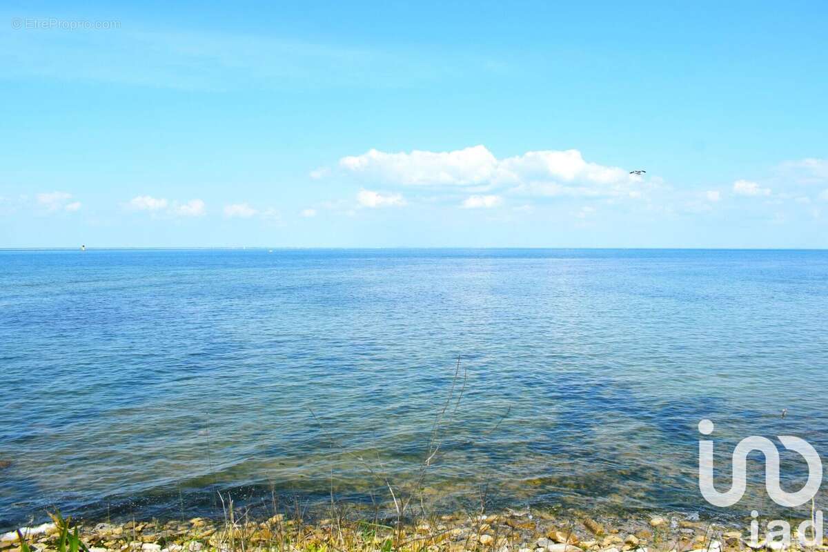 Photo 8 - Terrain à SAINT-DENIS-D&#039;OLERON