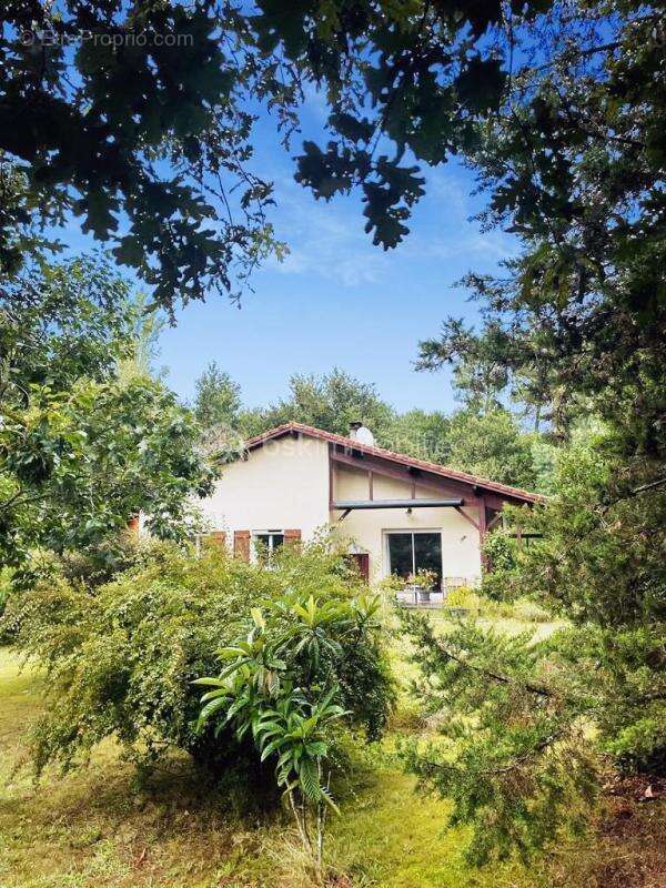 Maison à SAINTE-EULALIE-EN-BORN