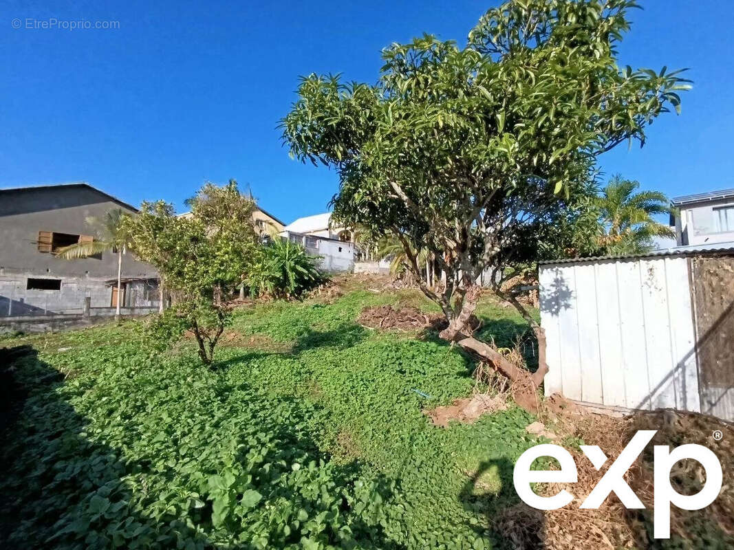 Terrain à LE TAMPON