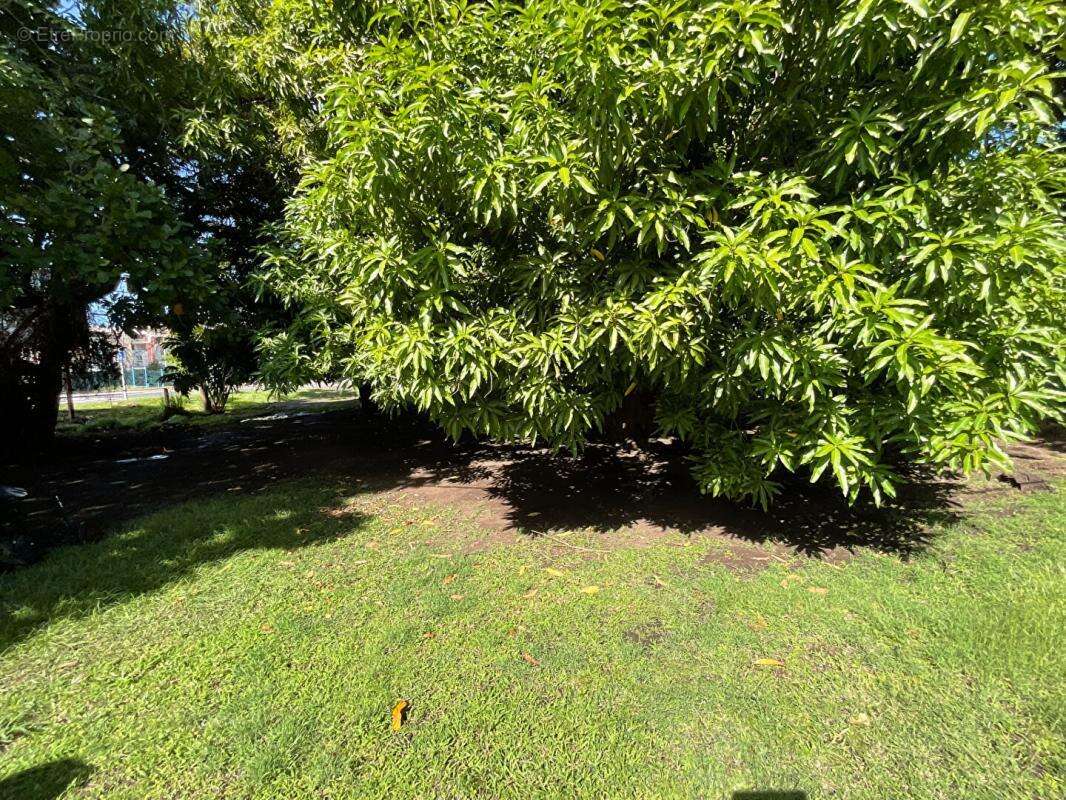 Terrain à BASSE-TERRE