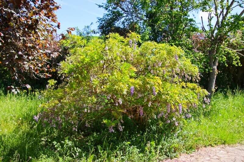 Maison à vendre 4 pièces SIORAC EN PERIGORD, sous-sol de 100m² exploitable  jardin 1933m² - photo 35