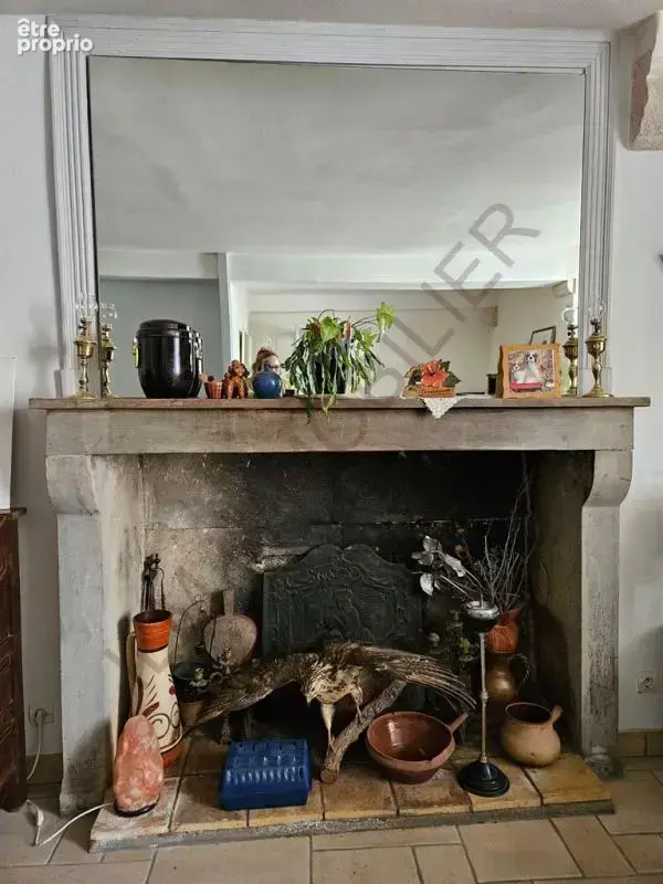 Maison en pierres jardin clos de murs 89144 bourgogne - photo 6