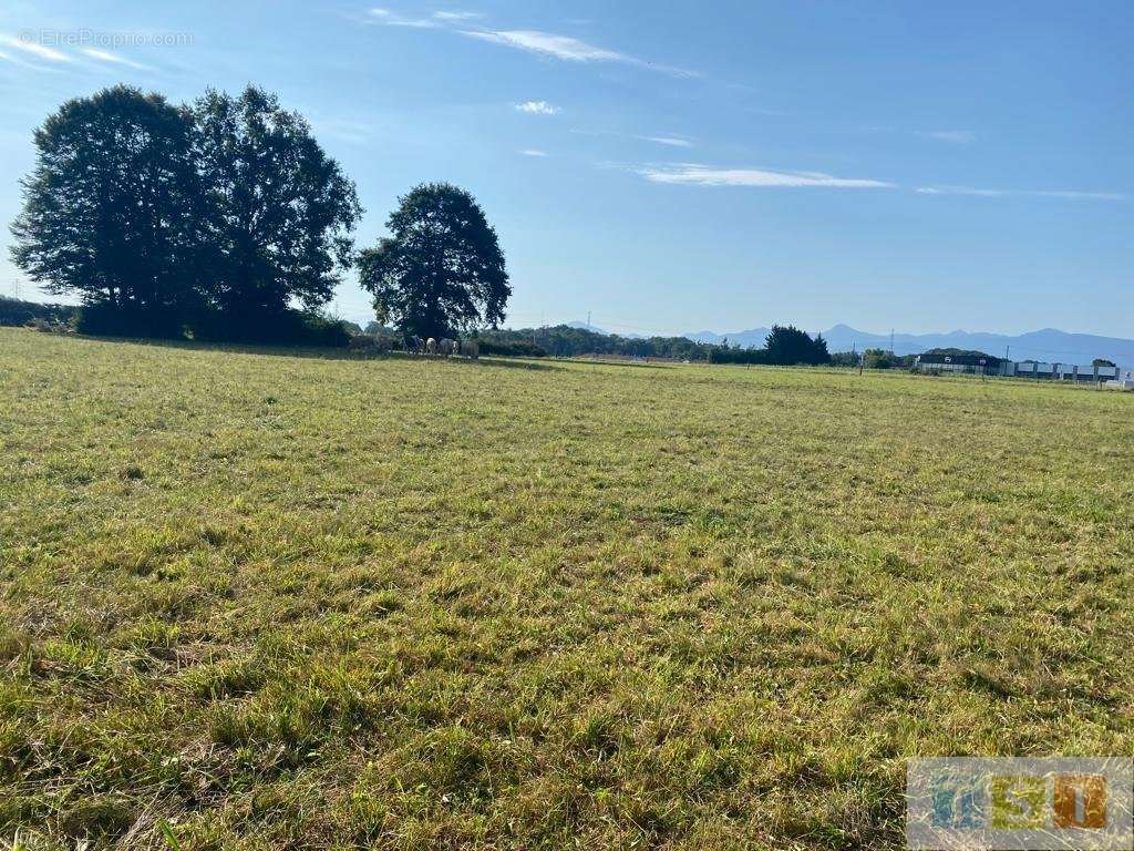 Terrain à LANNEMEZAN